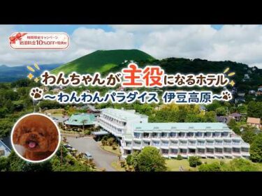 【視聴者限定10%OFF】リニューアルした「わんわんパラダイス 伊豆高原」で愛犬と最高の休日