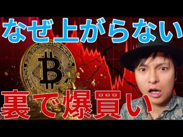 ​【真実】なぜ仮想通貨だけ上がらない？裏でビットコインを大口投資家が爆買いしてる理由