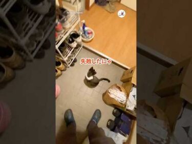 安全確認してから入ったのに…｜PECO