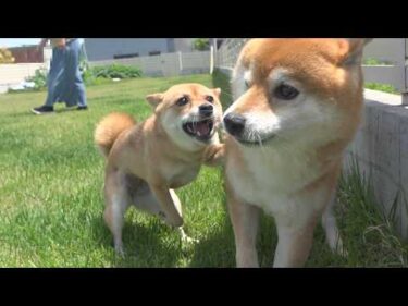 帰ってきた妹が、想像以上でした