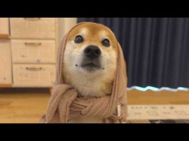 妹がすごすぎたので、男ふたりで対抗してみた