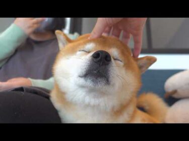 少し悲しいことがありました。