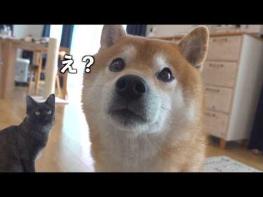ママの隣に行こうとしたら落ち込む事態に