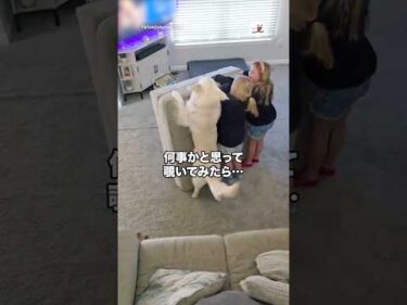 何事かと思って覗いてみたら…｜PECO