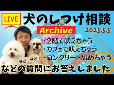 犬のしつけ相談ライブ☆ゲリラライブ【アーカイブ 2025/05/05】