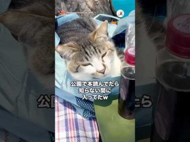 バッグを乗っ取られたんだけどw｜PECO