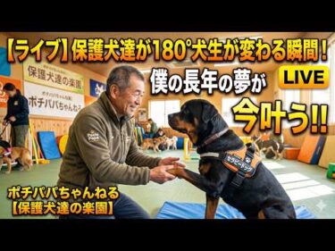 【ライブ】保護犬達が180°犬生が変わる瞬間！ 僕の長年の夢が今叶う！！