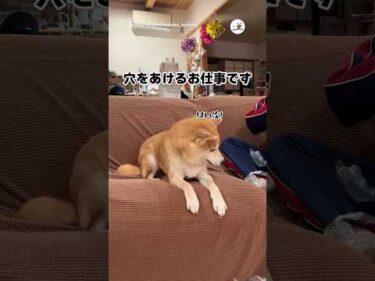 【職人】穴あけはお任せください｜PECO