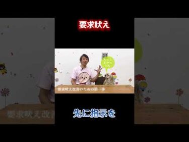 吠えたらすぐ応えていませんか？【犬のしつけ】