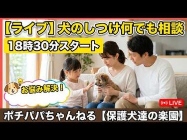 【ライブ】犬のしつけ何でも相談18時30分スタート