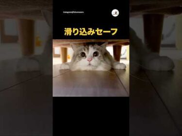 ナイススライディング👍｜PECO