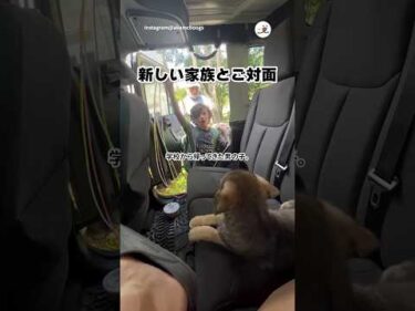 はじめましての瞬間｜PECO
