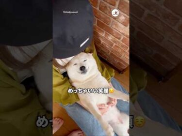 お姉ちゃんが帰ってきてニッコニコ☺️｜PECO