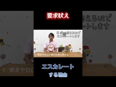 要求吠えが悪化する理由【犬のしつけ】