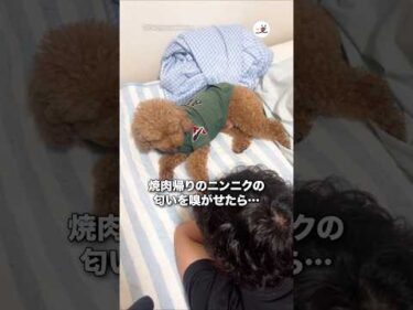 非公開