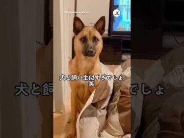 犬と飼い主は似る｜PECO