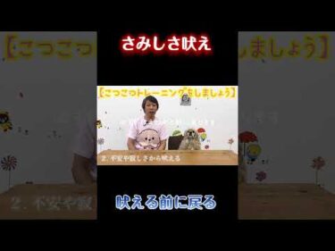 さみしさで吠える犬への対応【犬のしつけ】