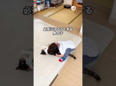 お掃除ロボットから猫を守りたい男の子｜PECO