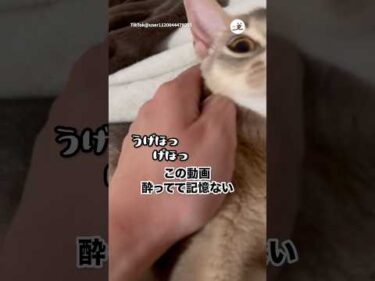 酔って記憶に無いけどやばい動画が見つかった｜PECO