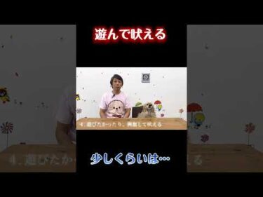 遊びの吠え、少しくらいOK？【犬のしつけ】