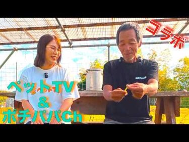 【コラボ】ペットTVさんが遊びに来てくれました！