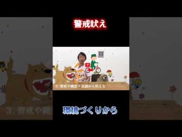 警戒して吠える犬への対応【犬のしつけ】