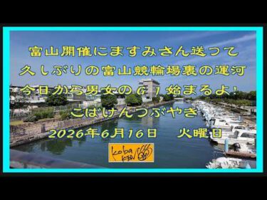 2026年6月16日　月曜日　こばけんつぶやき　Vol 331