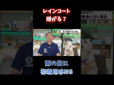 レインコート嫌いは雨の日に作られる