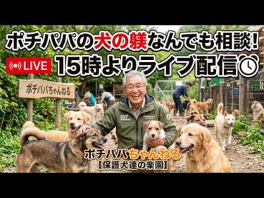 ポチパパの犬の躾なんでも相談！15時よりライブ配信