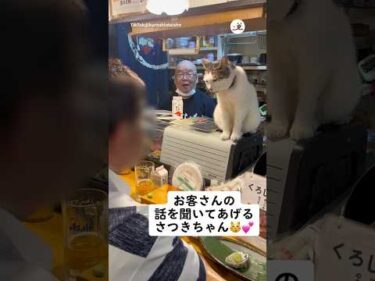 お客さんの悩みを聞く猫店主｜PECO