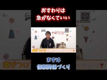 実はおすわりより先に大切なことがあります