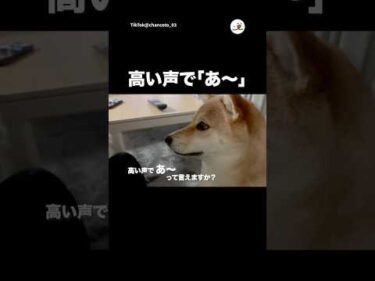 高い声で「あー」言えますか？｜PECO