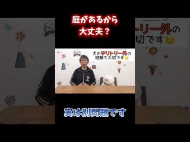 庭があれば散歩はいらない？