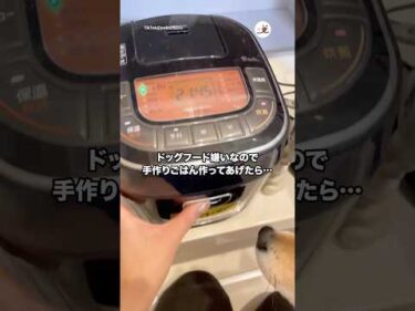 ドッグフード嫌いなので手作りごはん作ってあげたら…｜PECO