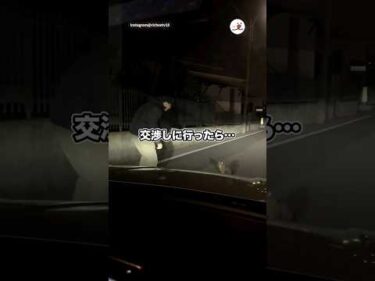 猫が道路を塞いでいたので…｜PECO