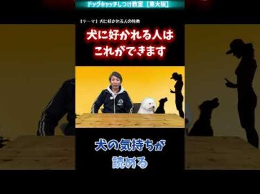 【犬】犬に好かれる人は「ここ」を見ています！