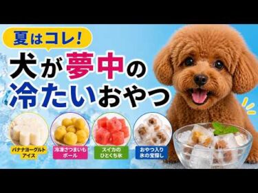 愛犬が大喜び！夏におすすめの冷たい手作りおやつ4選【見やすく改良】