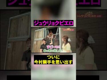 ジュウリョクピエロが馬房で今村騎手に甘える仕草が可愛すぎる！ #競馬 #horse #ジュウリョクピエロ #今村聖奈