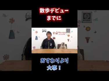 お散歩デビューまでに