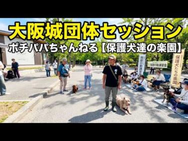 【犬の問題行動】大阪城団体セッション 5月26日開催