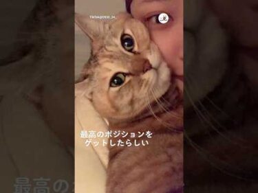 【良音】最高のポジションをゲットした｜PECO