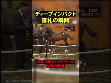 【セレクトセールの奇跡】ディープインパクトが競り落とされた瞬間 #競馬  #horse  #セレクトセール  #shorts #ディープインパクト