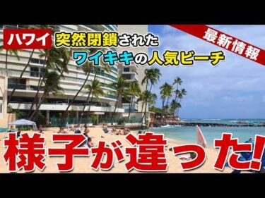 【ハワイ】数週間閉鎖されていたワイキキの人気ビーチに行ってみたら…【ハワイ最新情報】【ハワイの今】
