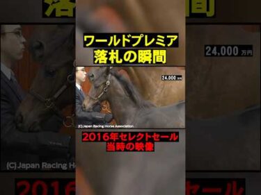 ダービー馬ロブチェンの父！ワールドプレミアの落札映像#競馬  #horse   #武豊   #shorts #ディープインパクト#ロブチェン