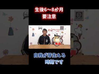 犬に反抗期はある？実は6〜8か月が要注意