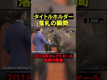 逃げステイヤー、タイトルホルダー落札の瞬間 #競馬  #horse  #セレクトセール  #shorts