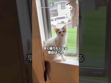 早く帰りたくなる理由はこれ｜PECO