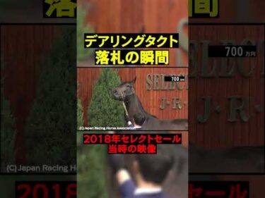 無敗の三冠牝馬、デアリングタクトのセレクトセール#競馬  #horse  #セレクトセール  #shorts