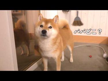 パパがいない日、書斎から物音がしました