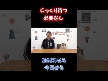 犬のしつけは2歳から？それ、誤解かもしれません